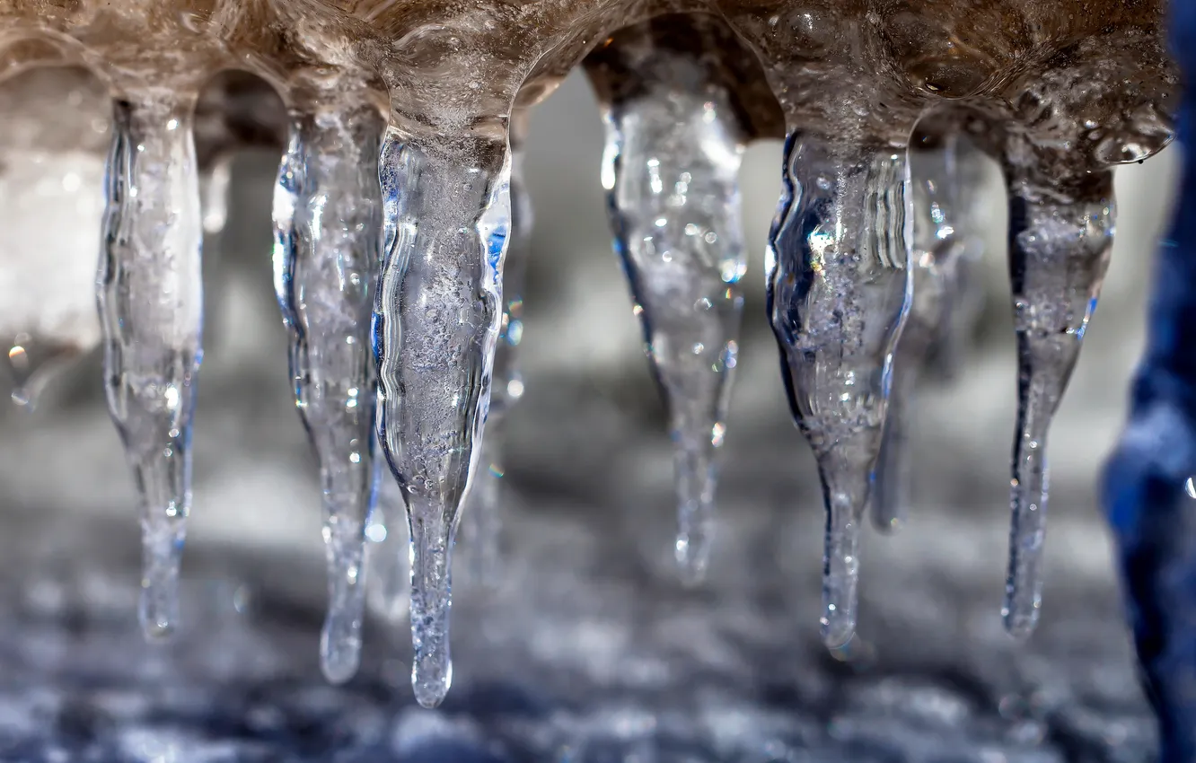 Photo wallpaper winter, nature, ice, icicles