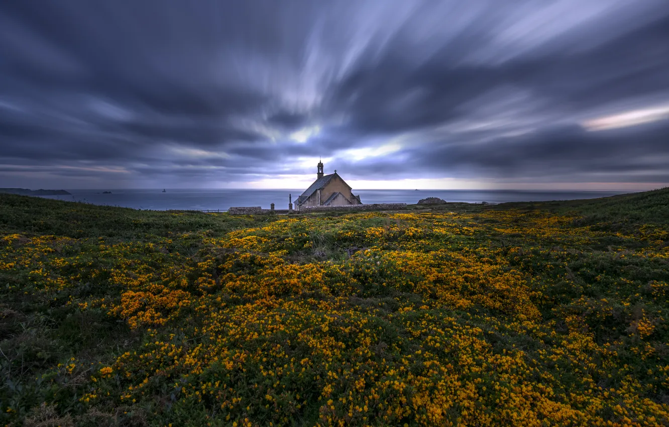 Photo wallpaper field, flowers, house