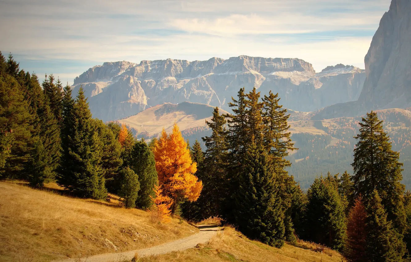 Photo wallpaper autumn, forest, the sky, grass, the sun, trees, mountains, rocks