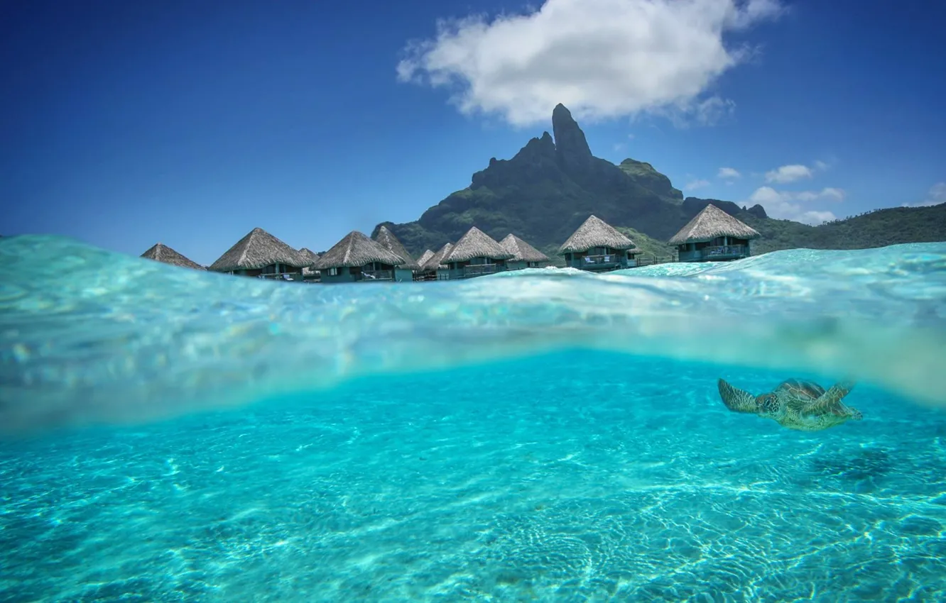 Photo wallpaper water, transparency, the ocean, Laguna, Bungalow, Aqua, Tahiti, beautiful