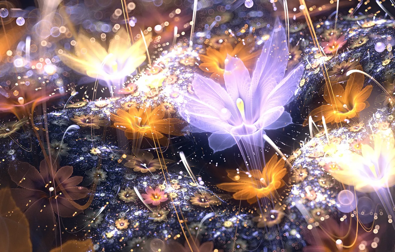 Photo wallpaper flower, light, petals