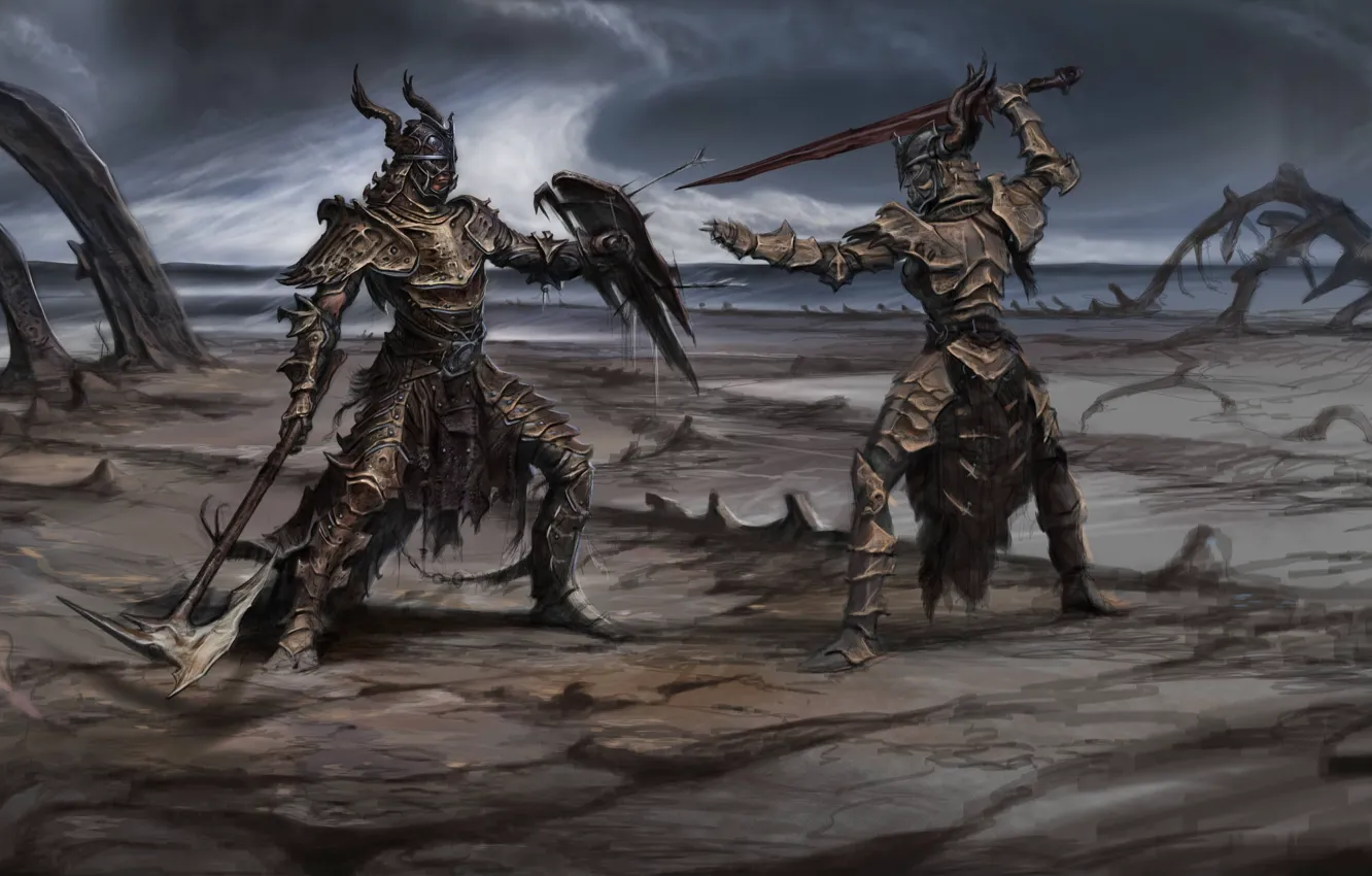 Photo wallpaper weapons, sword, wars, shield, the fight, Skyrim, concept art, The Elder Scrolls V