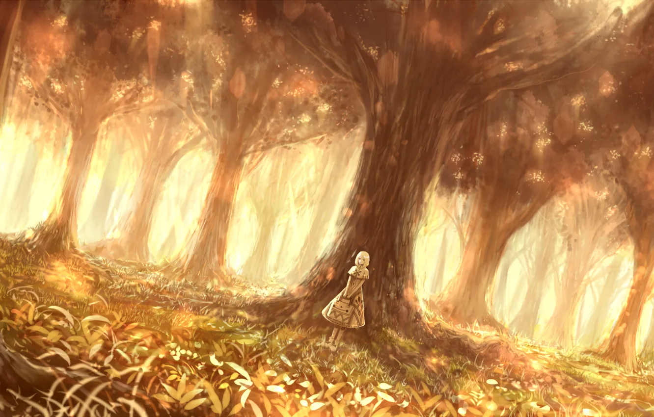 Wallpaper forest, girl, nature, art, bounin for mobile and desktop ...