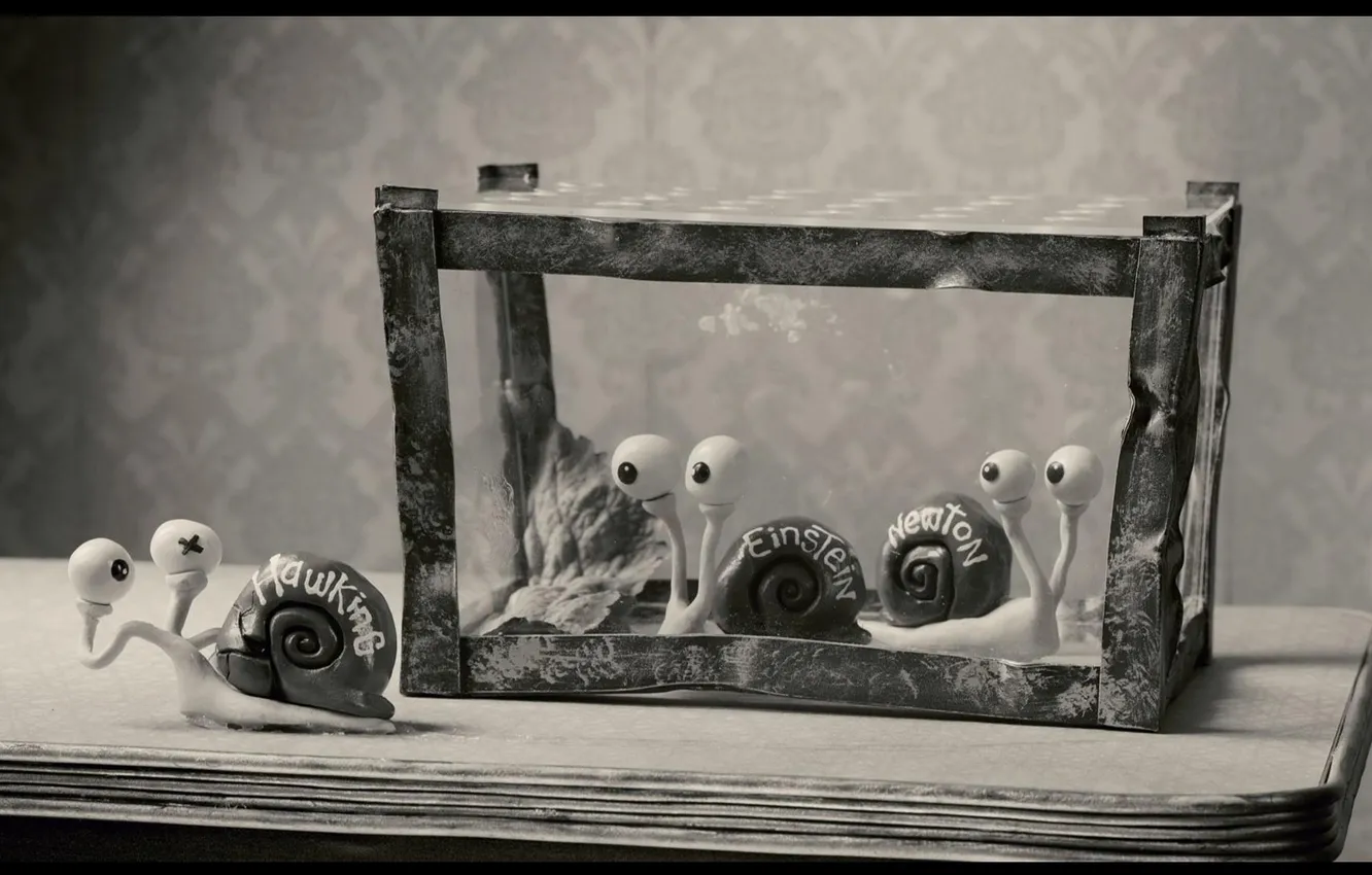 Photo wallpaper cartoon, snails, plasticine, in the aquarium, Mary and max