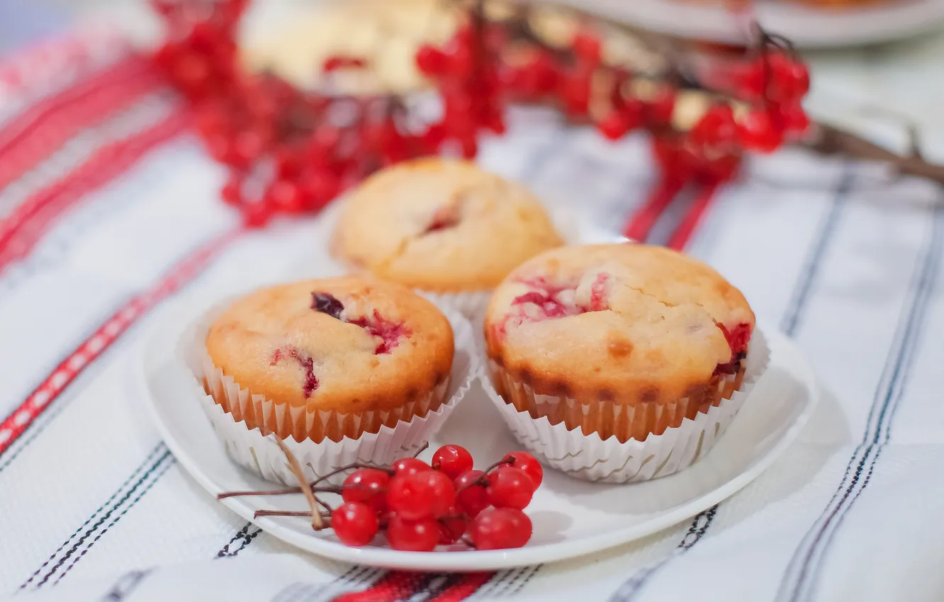 Photo wallpaper berries, plate, cupcakes, cranberries