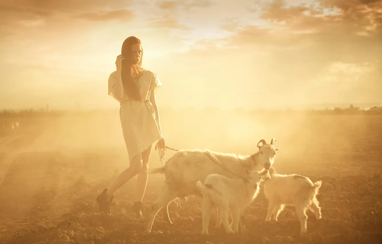 Photo wallpaper girl, walk, goat, young, sun, situation, sepia, shepherd
