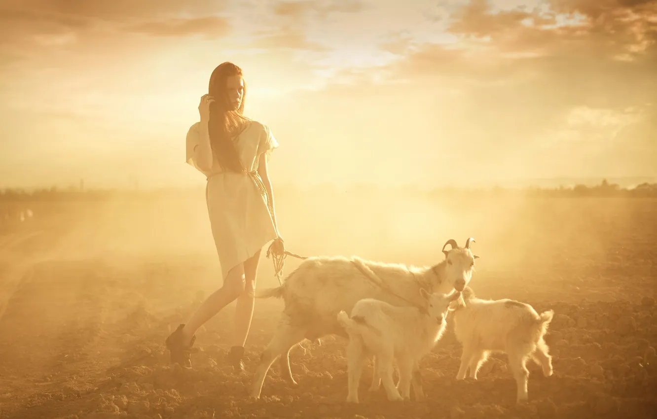 Photo wallpaper girl, walk, young, sun, Shepherd, goats, situation, sepia