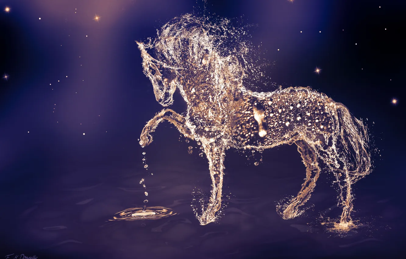 Photo wallpaper water, drops, animal, horse, horse, art