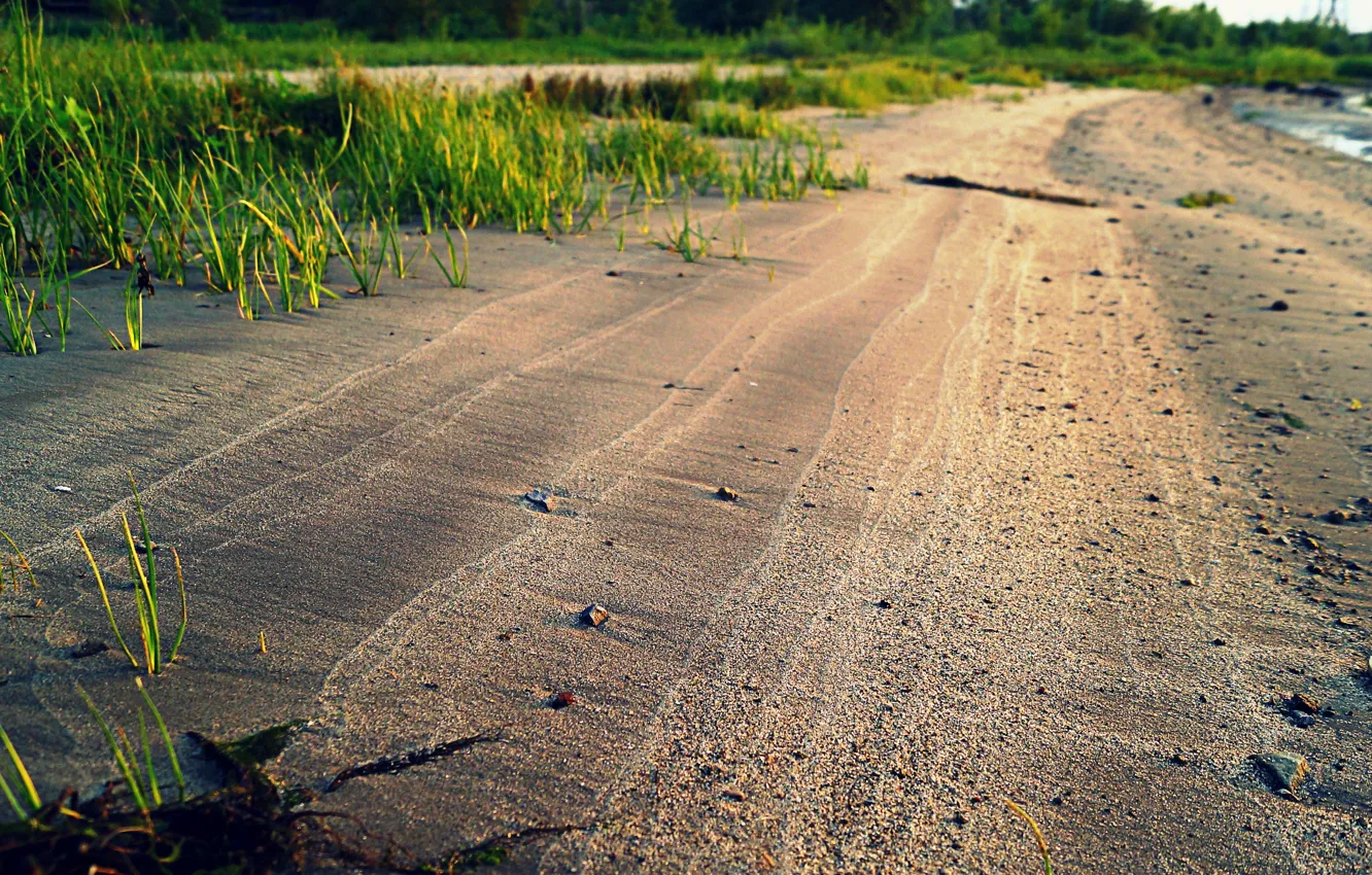 Photo wallpaper sand, beach, grass, water, the sun, nature, Rosa, river