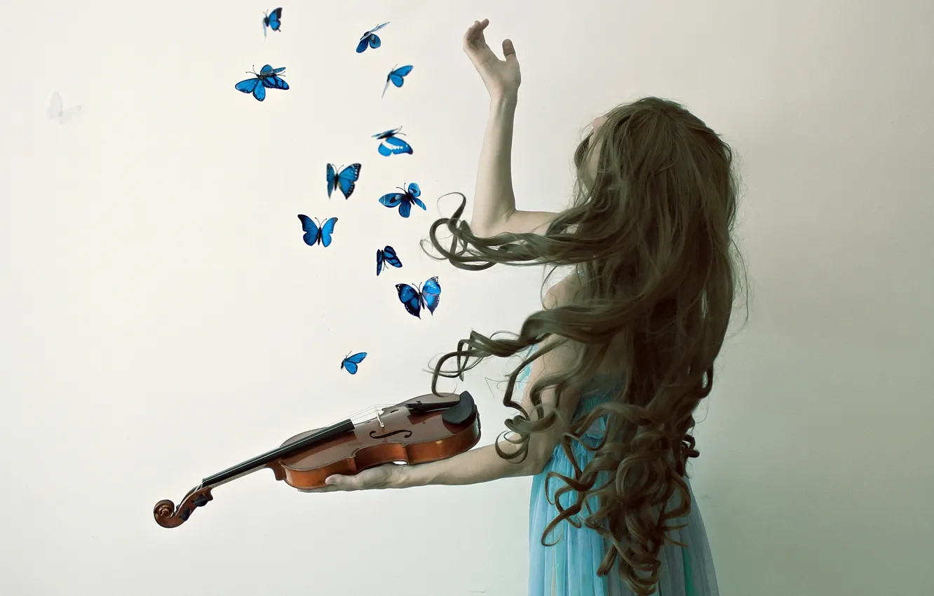 Photo wallpaper girl, butterfly, violin