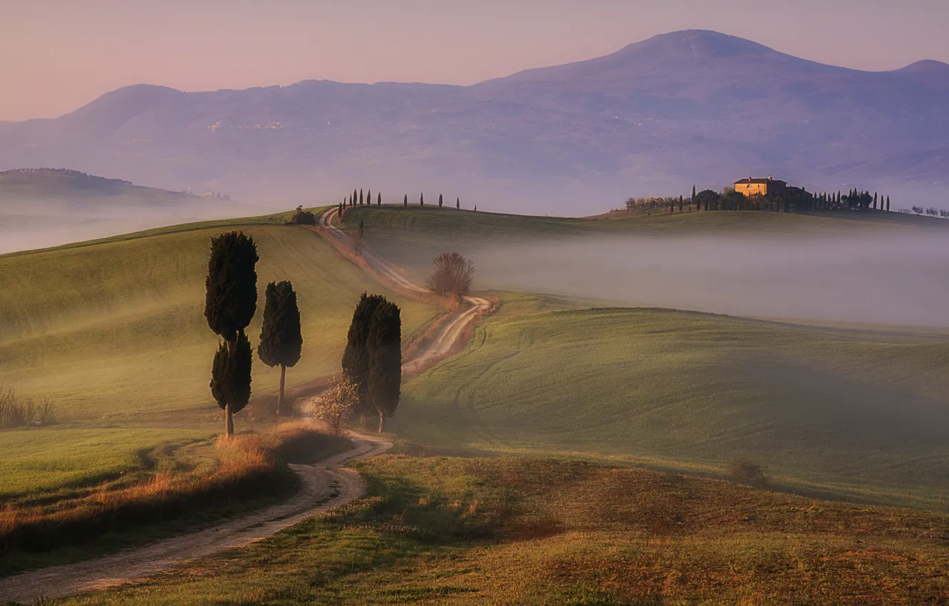 Photo wallpaper fog, Tuscany, Gladiator's Road