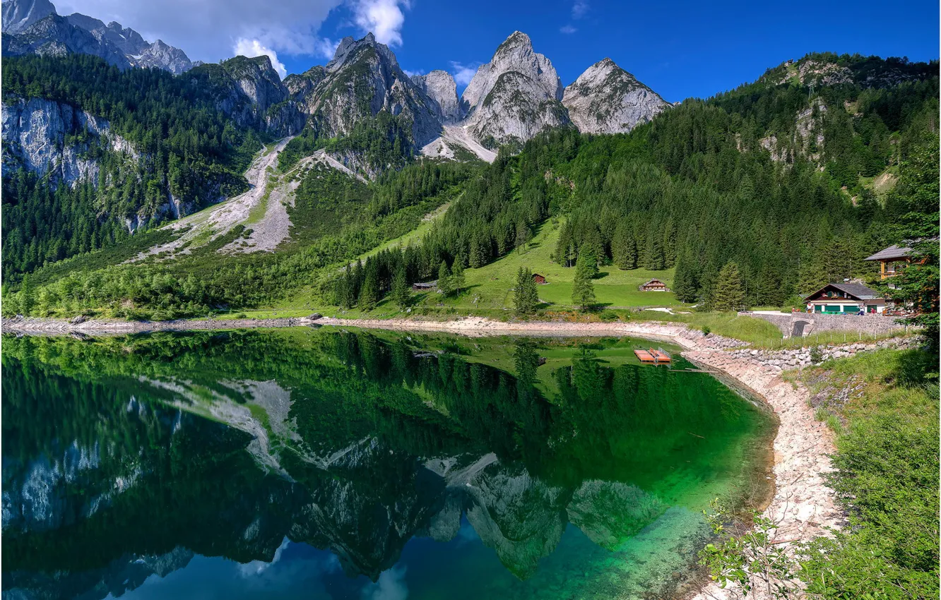 Photo wallpaper forest, mountains, nature, lake, Switzerland
