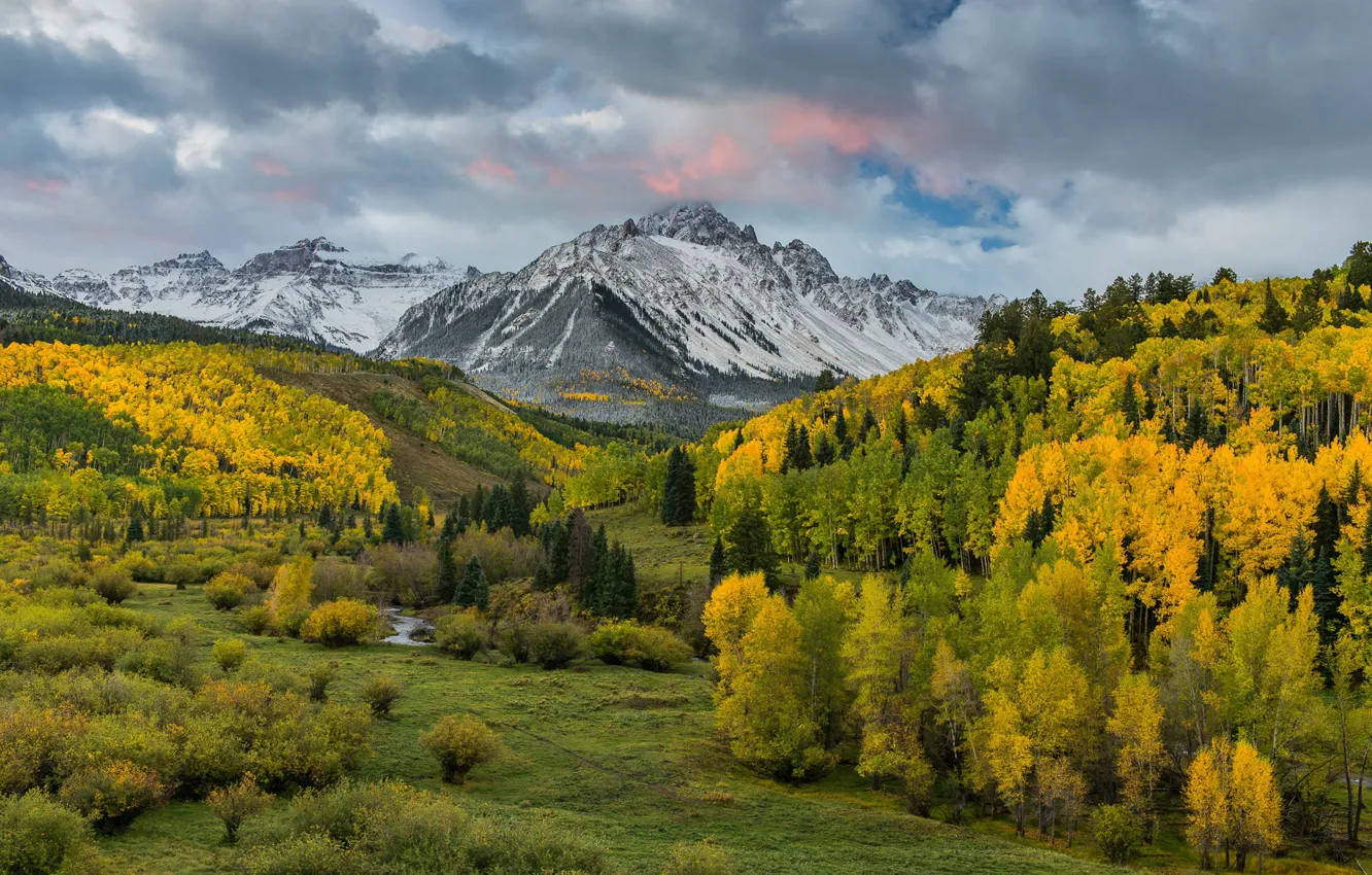 Photo wallpaper trees, nature, Osei