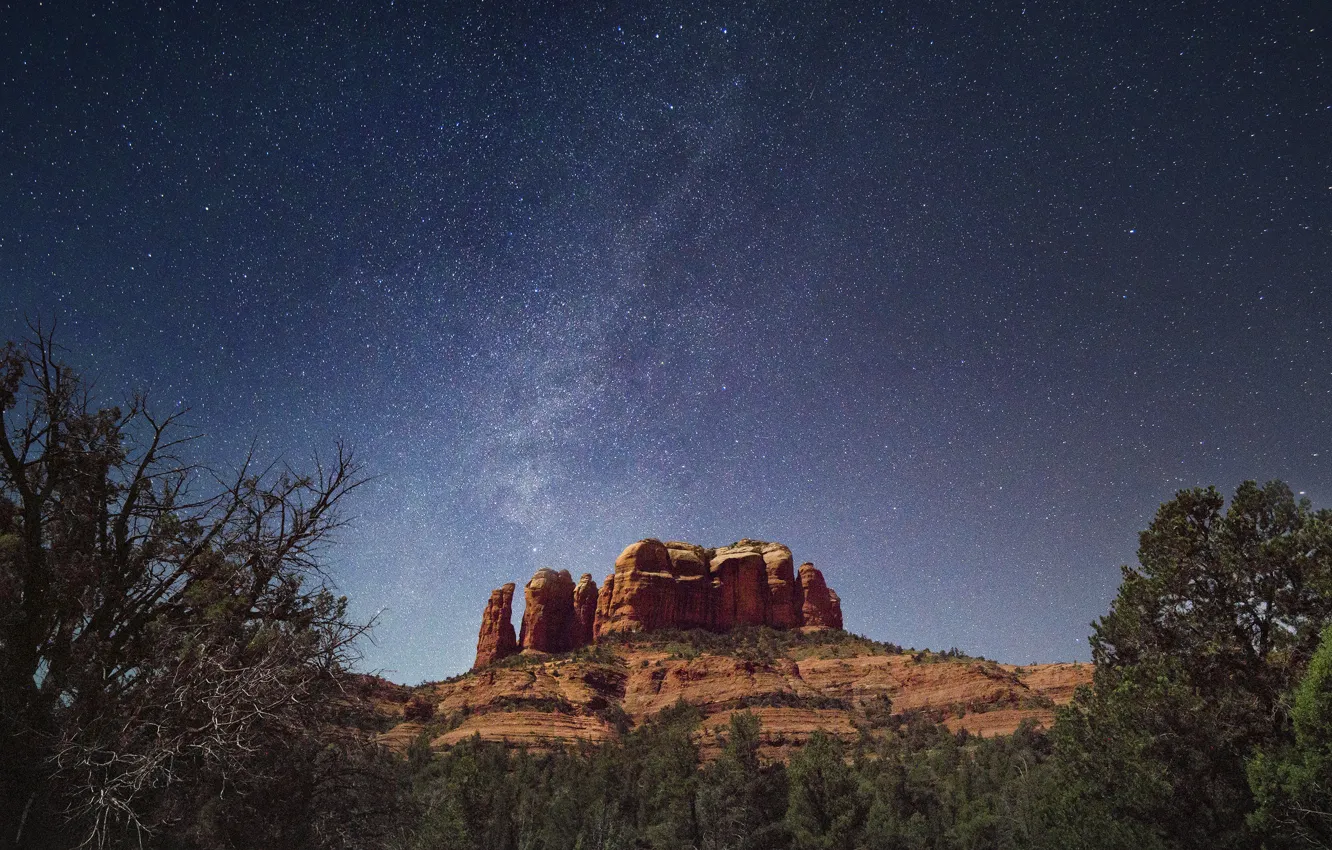 Photo wallpaper space, stars, trees, the milky way, outliers