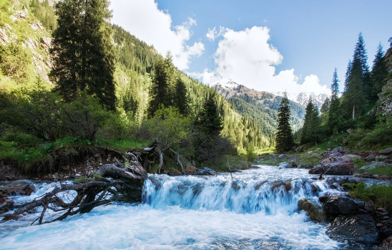 Photo wallpaper forest, the sky, clouds, landscape, mountains, nature, stones, rocks