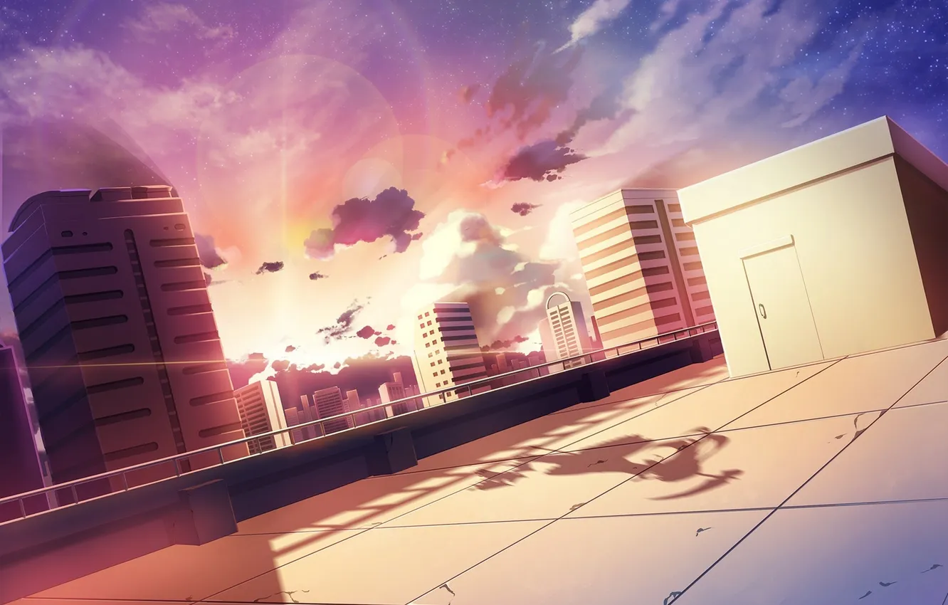 Photo wallpaper roof, cat, girl, stars, sunset, the city, home, shadow