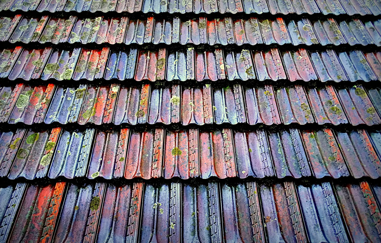 Photo wallpaper roof, background, shards, home