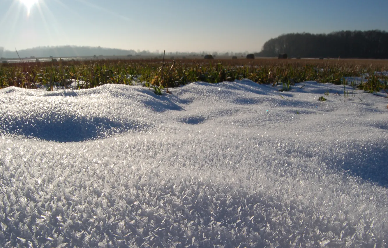 Photo wallpaper winter, the sun, snow, photo, morning, Wallpaper for desktop, winter Wallpaper