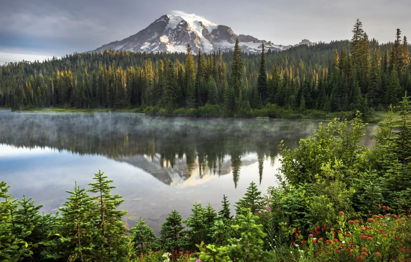 Photo wallpaper forest, mountains, shore, pond