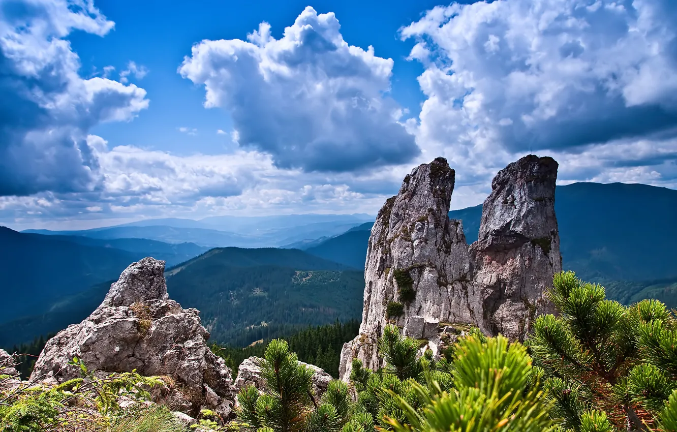 Photo wallpaper the sky, clouds, trees, mountains, rocks, shrub