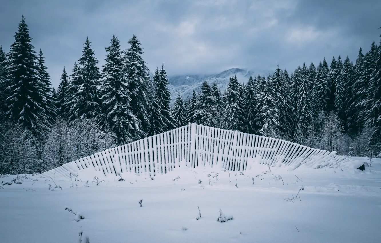 Photo wallpaper winter, field, forest, the sky, clouds, snow, mountains, the fence