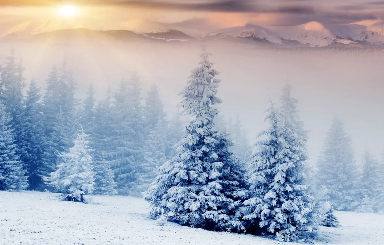 Photo wallpaper winter, forest, the sun, rays, snow, landscape, mountains, nature