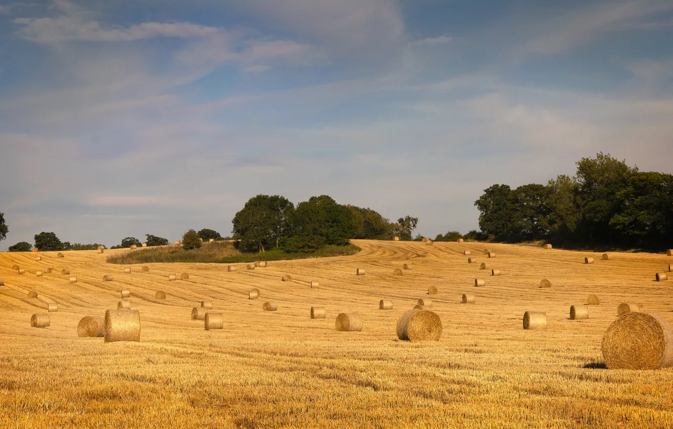 Photo wallpaper field, the sky, hay, bales, straw, Kip