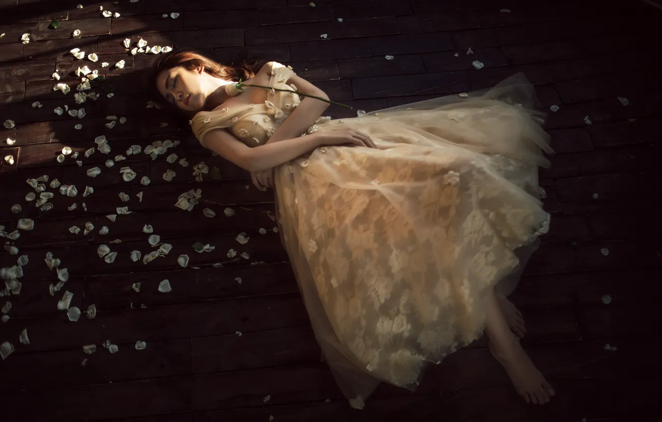Photo wallpaper girl, rose, petals