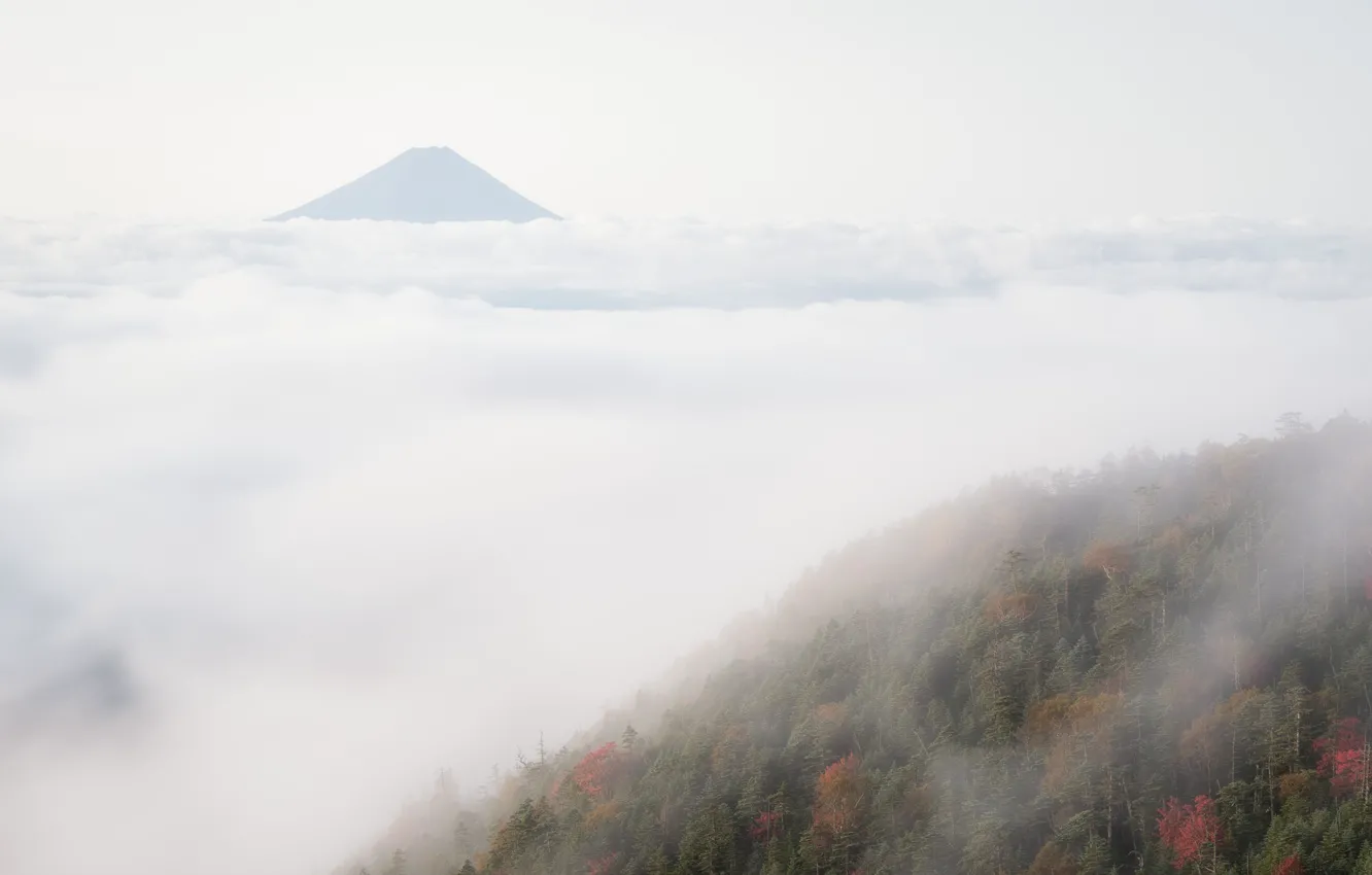 Photo wallpaper mountains, nature, fog