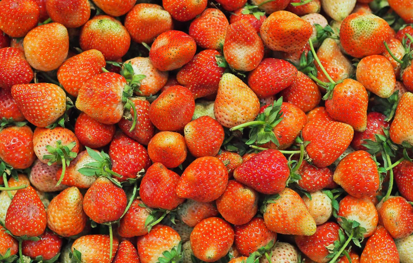 Photo wallpaper red, berries, strawberry, fresh, wood, ripe, sweet, strawberry