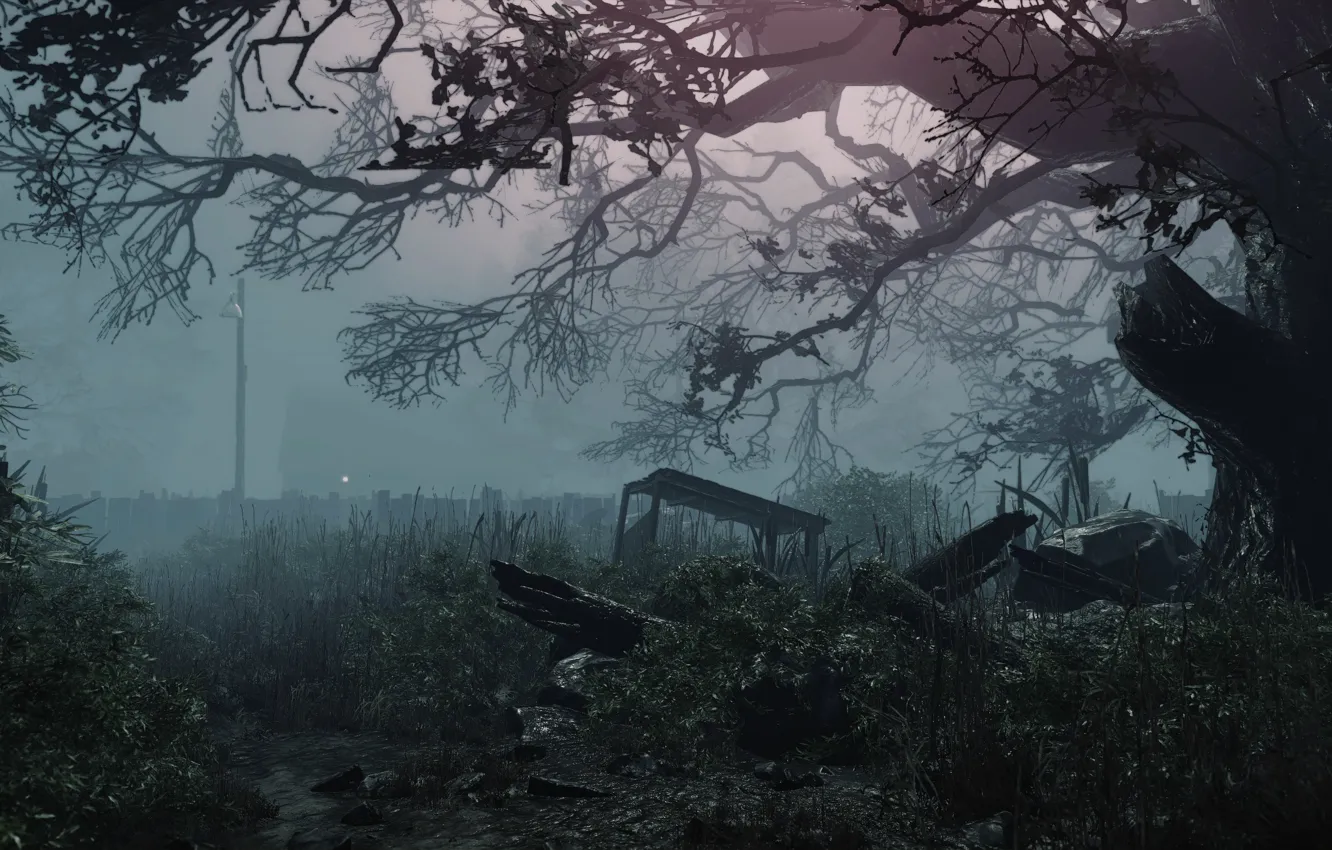 Photo wallpaper adventure, horror, Investigator, The Gardener Gave Up