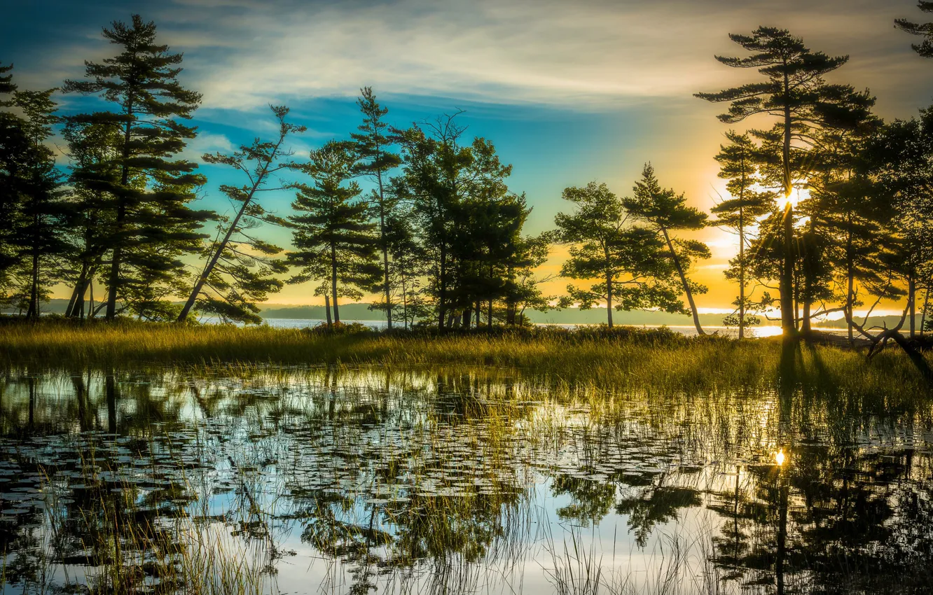 Photo wallpaper trees, lake, reflection, sunrise, dawn, morning, Michigan, Michigan