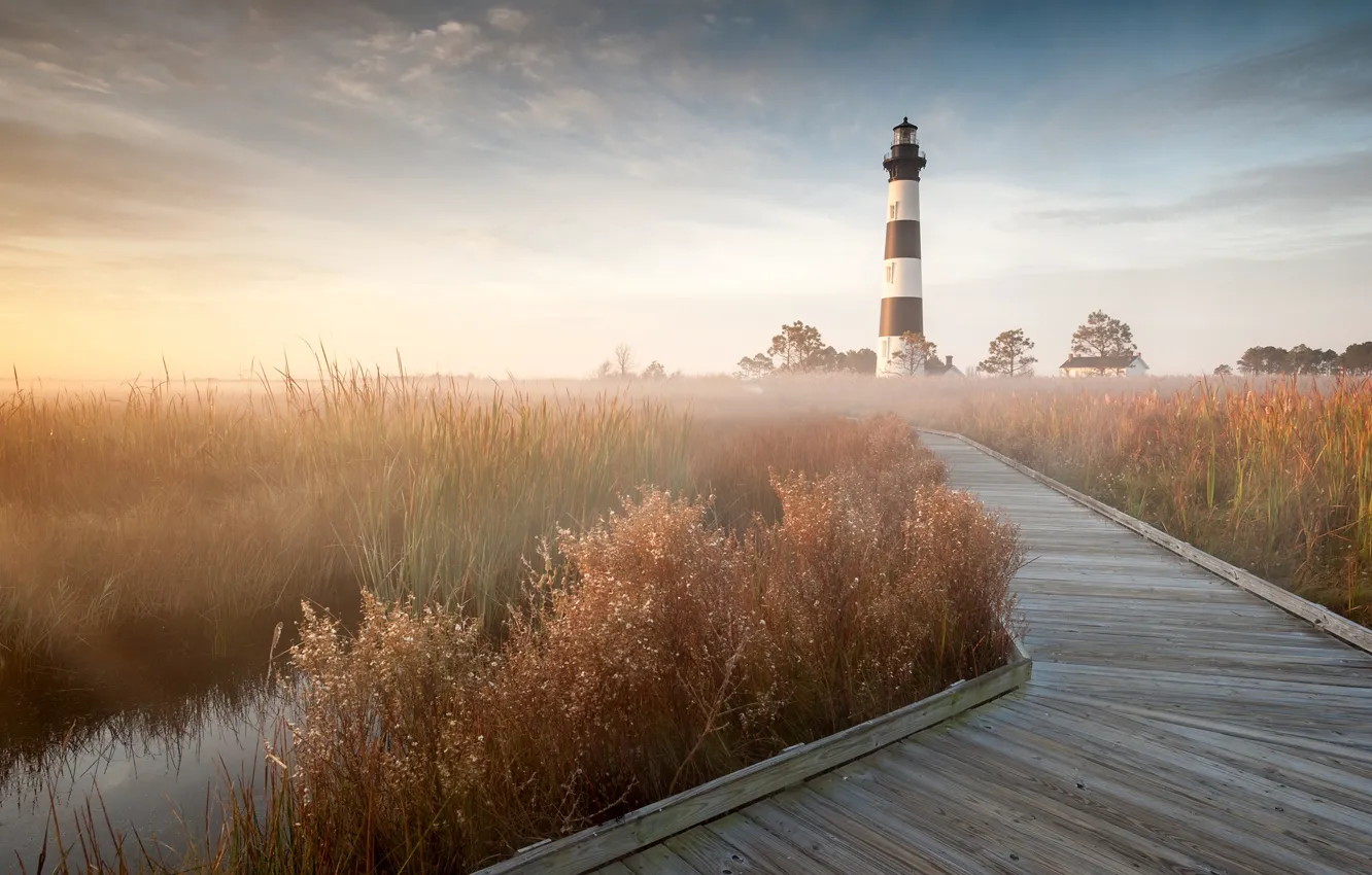 Photo wallpaper grass, trees, fog, dawn, lighthouse, morning, reed, house