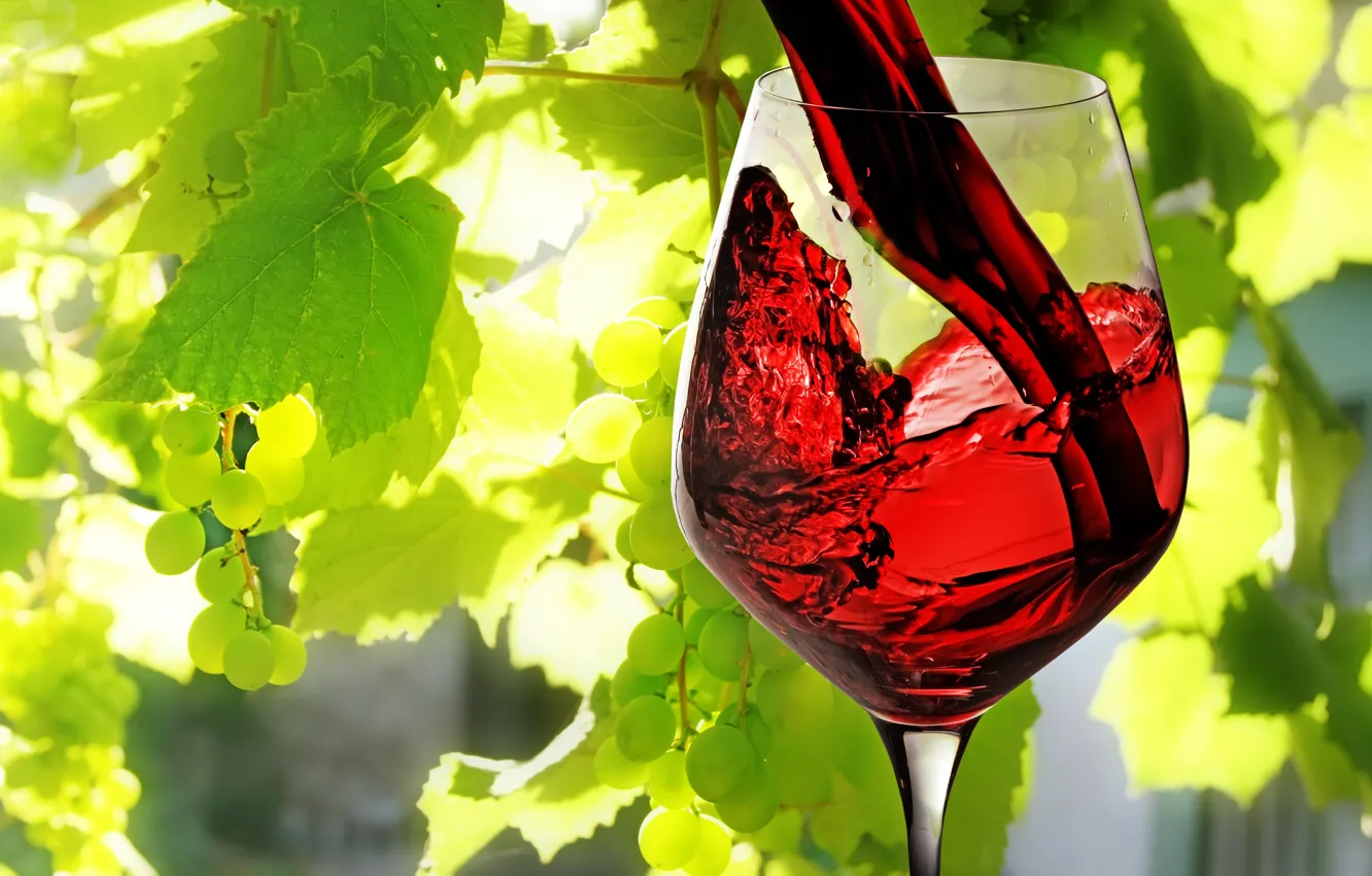 Photo wallpaper leaves, wine, red, glass, grapes, poured