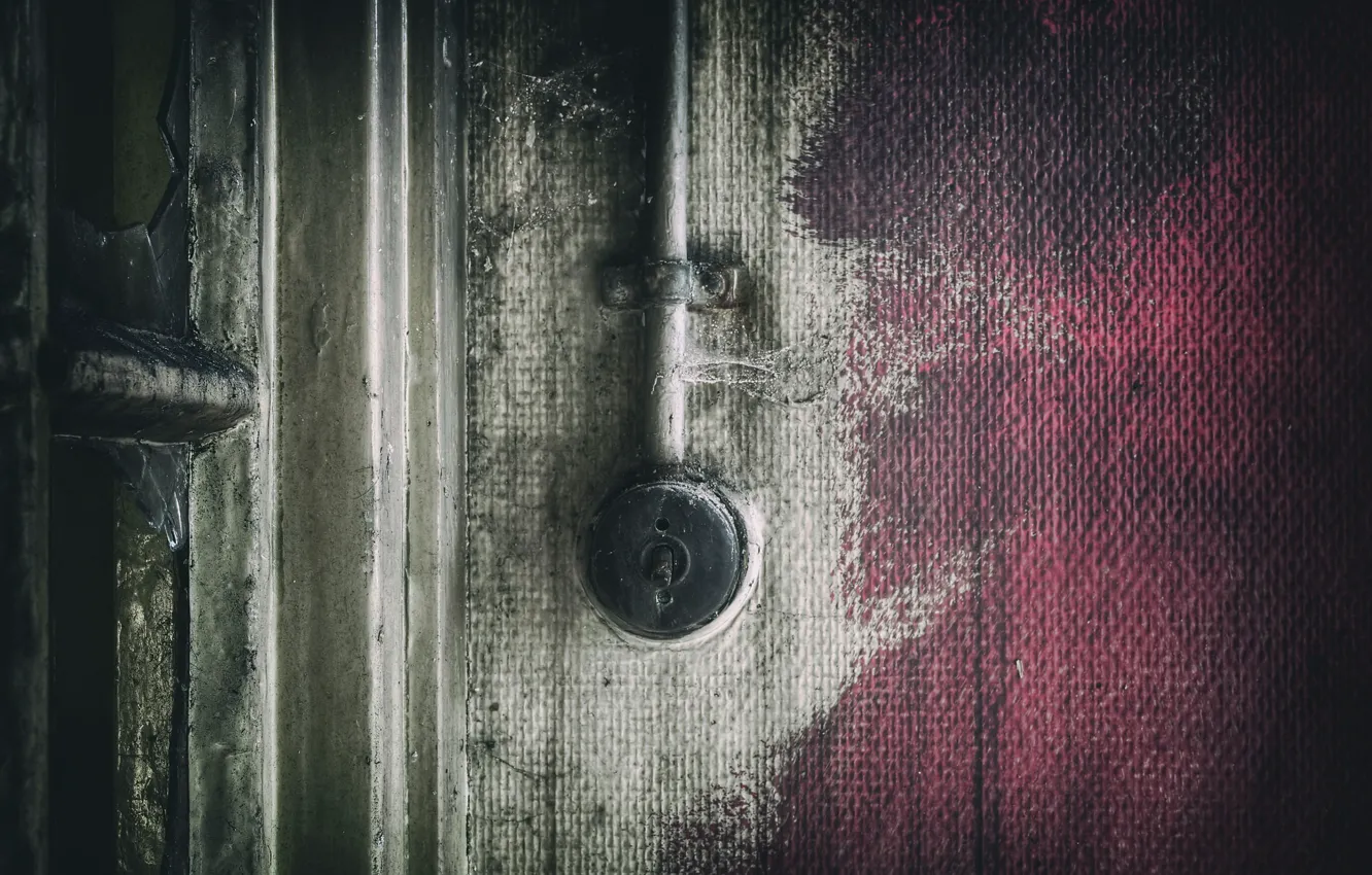 Photo wallpaper background, wall, switch