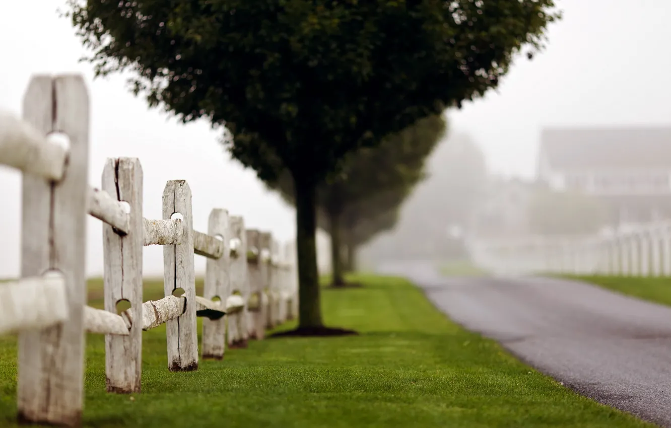 Photo wallpaper road, nature, the fence