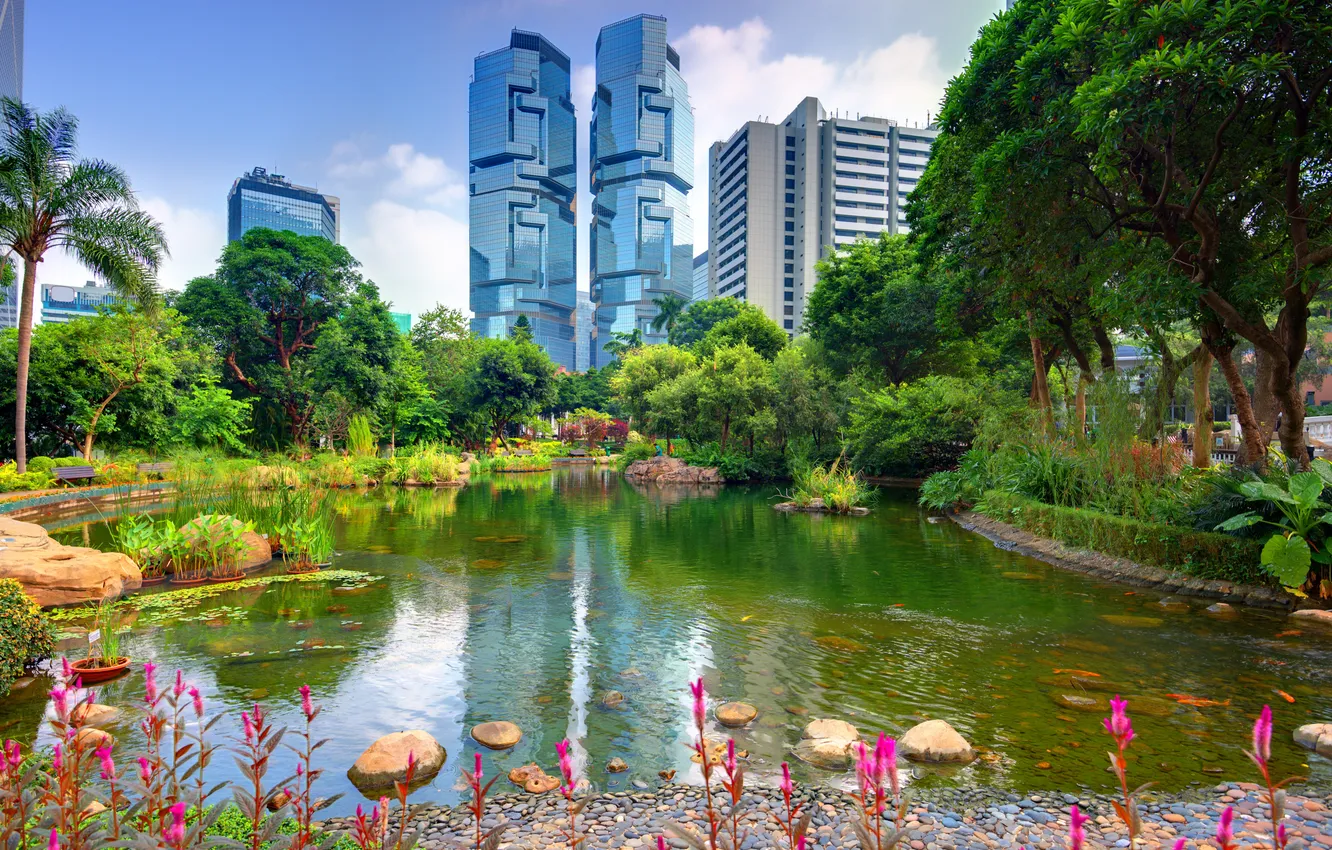 Photo wallpaper trees, nature, pond, Park, photo, home, Hong Kong