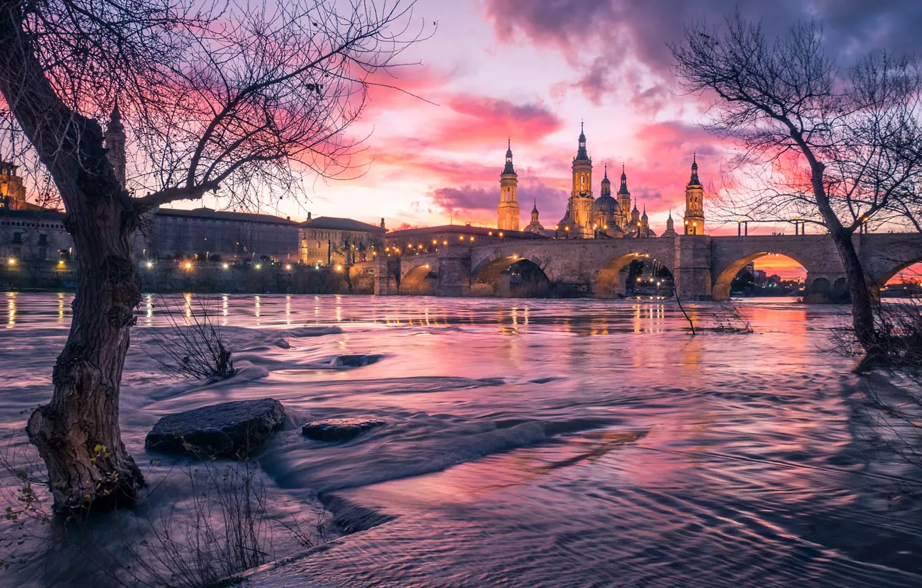 Photo wallpaper the sky, clouds, trees, sunset, branches, bridge, the city, lights