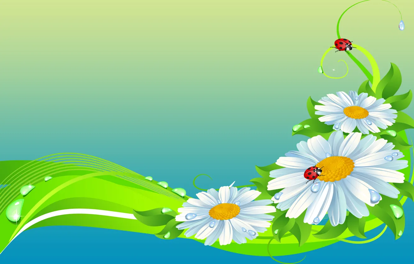 Photo wallpaper flowers, collage, ladybug, Daisy, insect