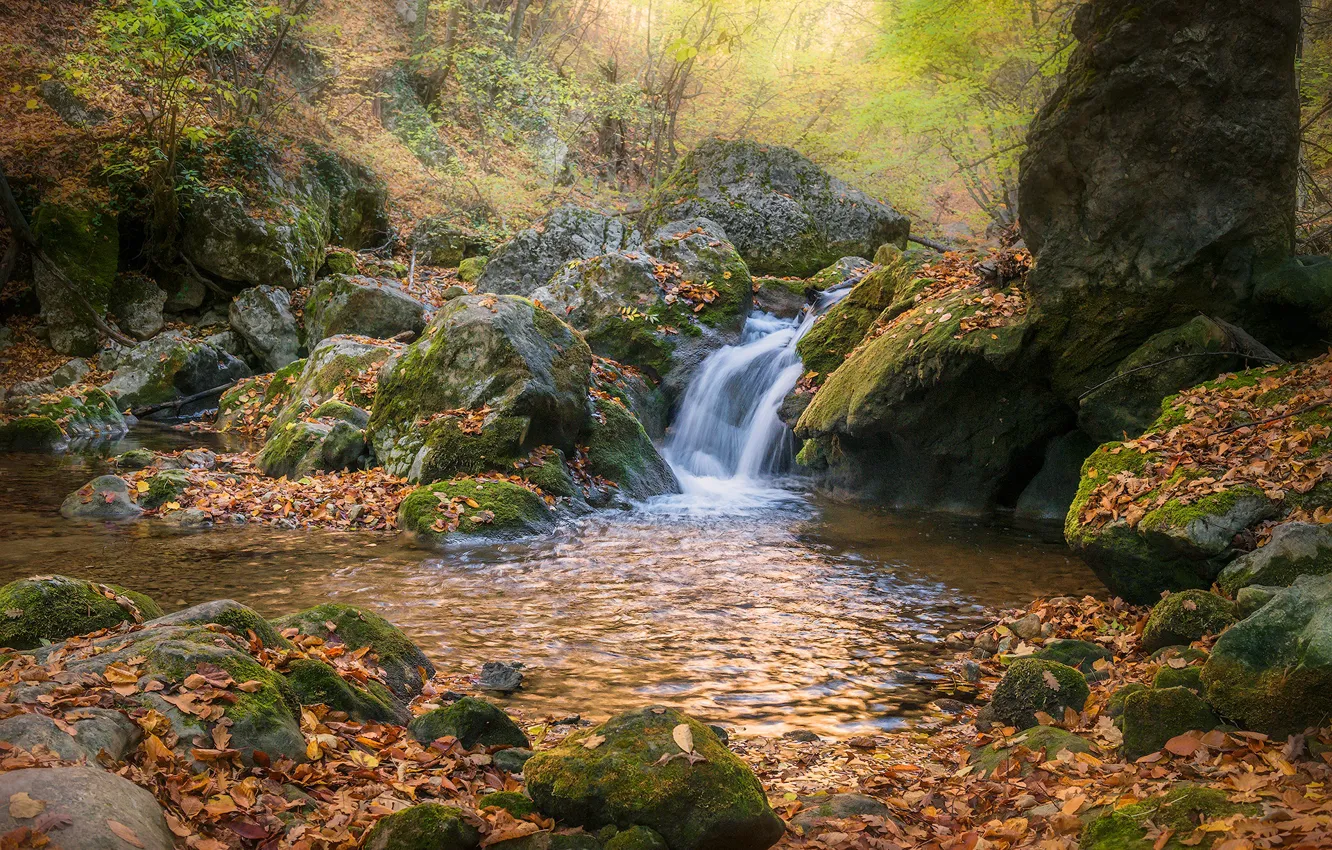 Photo wallpaper autumn, river, stones, waterfall, Russia, Crimea, fallen leaves, Vladimir Yakovlev