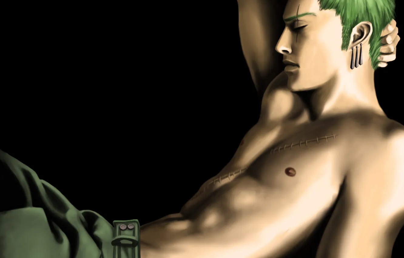 Photo wallpaper earrings, lies, guy, One Piece, green hair, scar, Topless, Zoro
