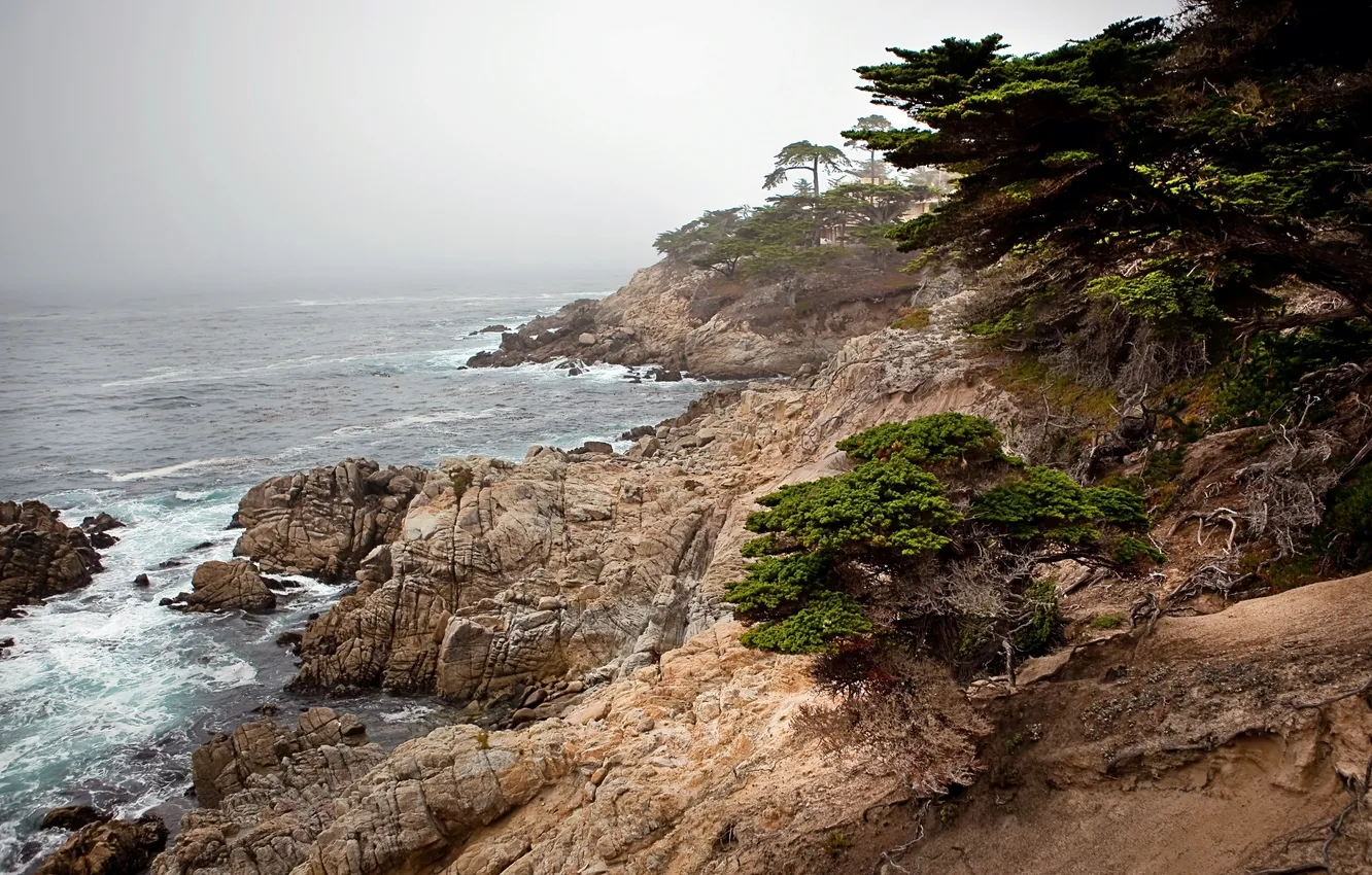 Photo wallpaper sea, trees, landscape, mountains, nature, hills, slope