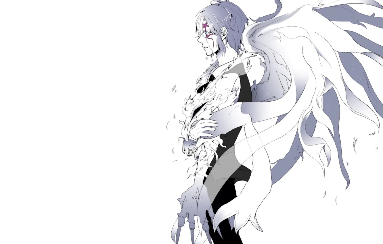 Photo wallpaper angel, anime, art, guy, D.Gray-man