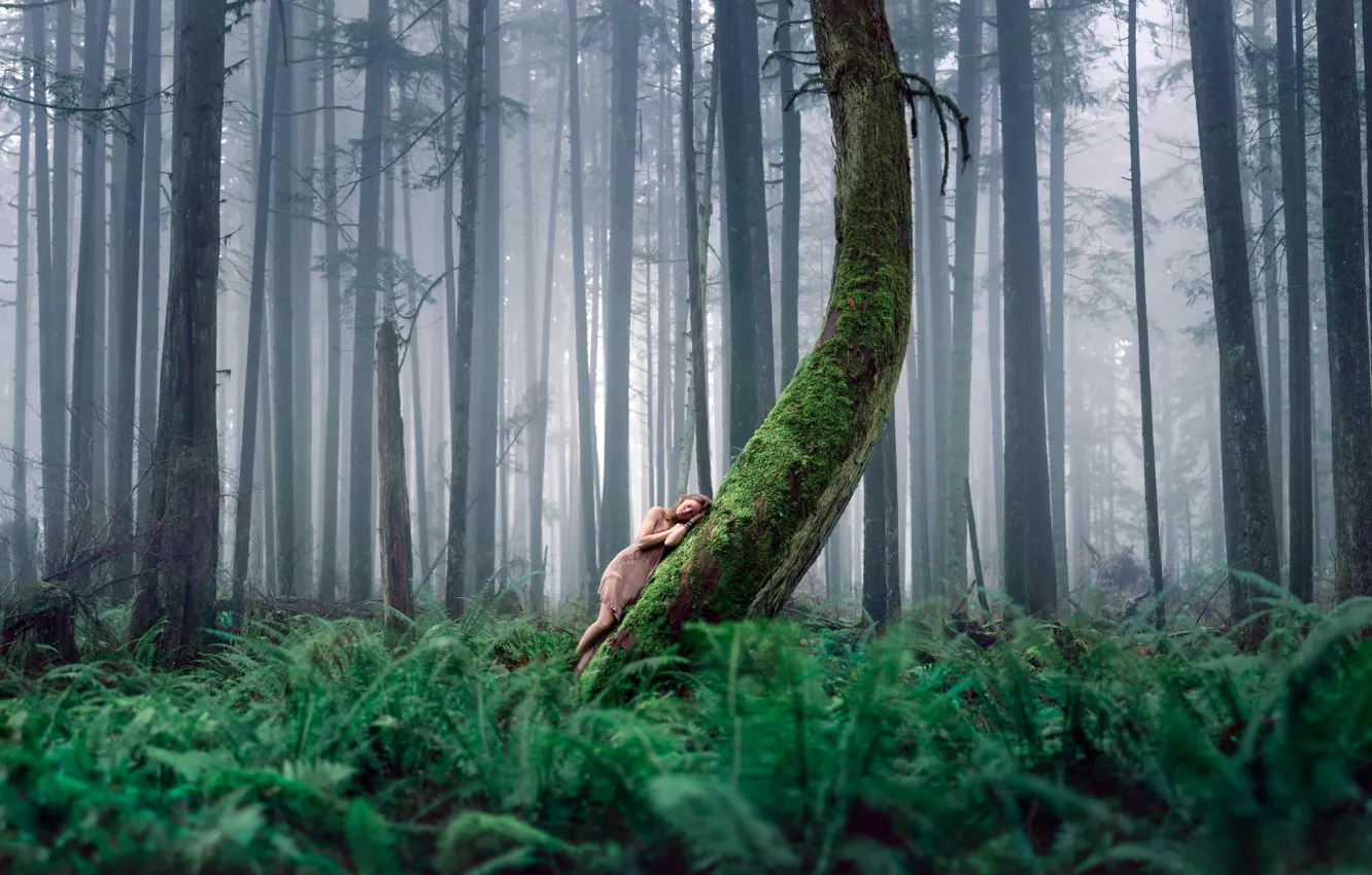 Photo wallpaper forest, girl, nature