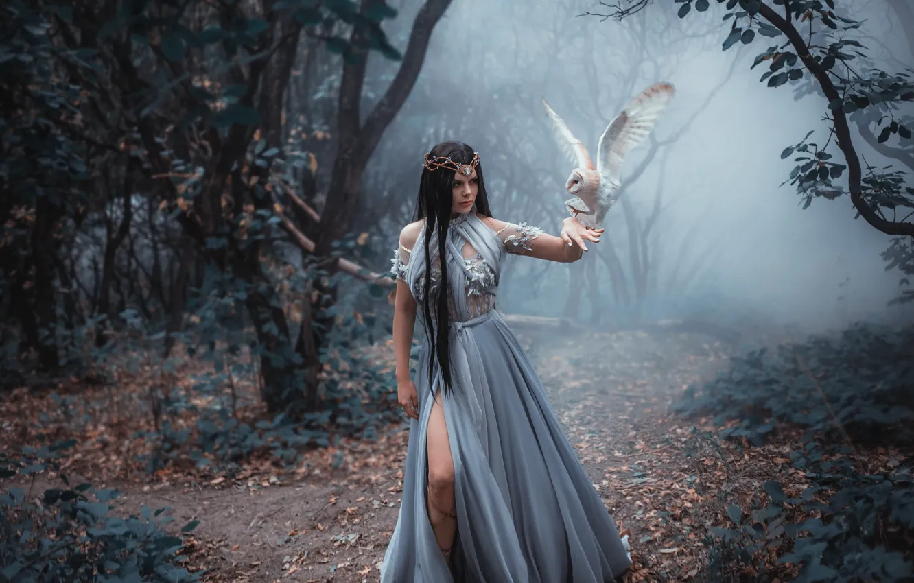 Photo wallpaper forest, girl, trees, fog, owl, brunette, witch, path