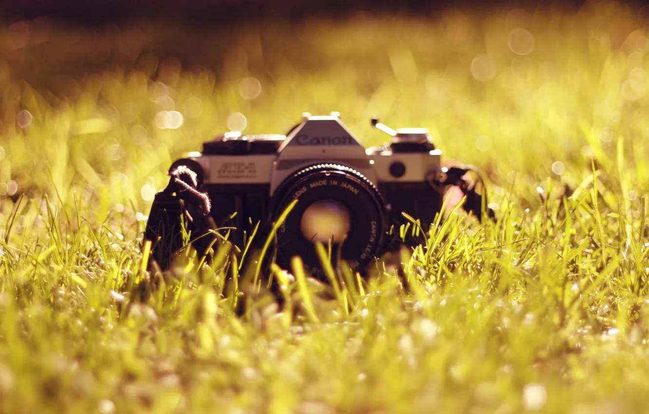 Photo wallpaper grass, The camera, lens, canon, Antiques