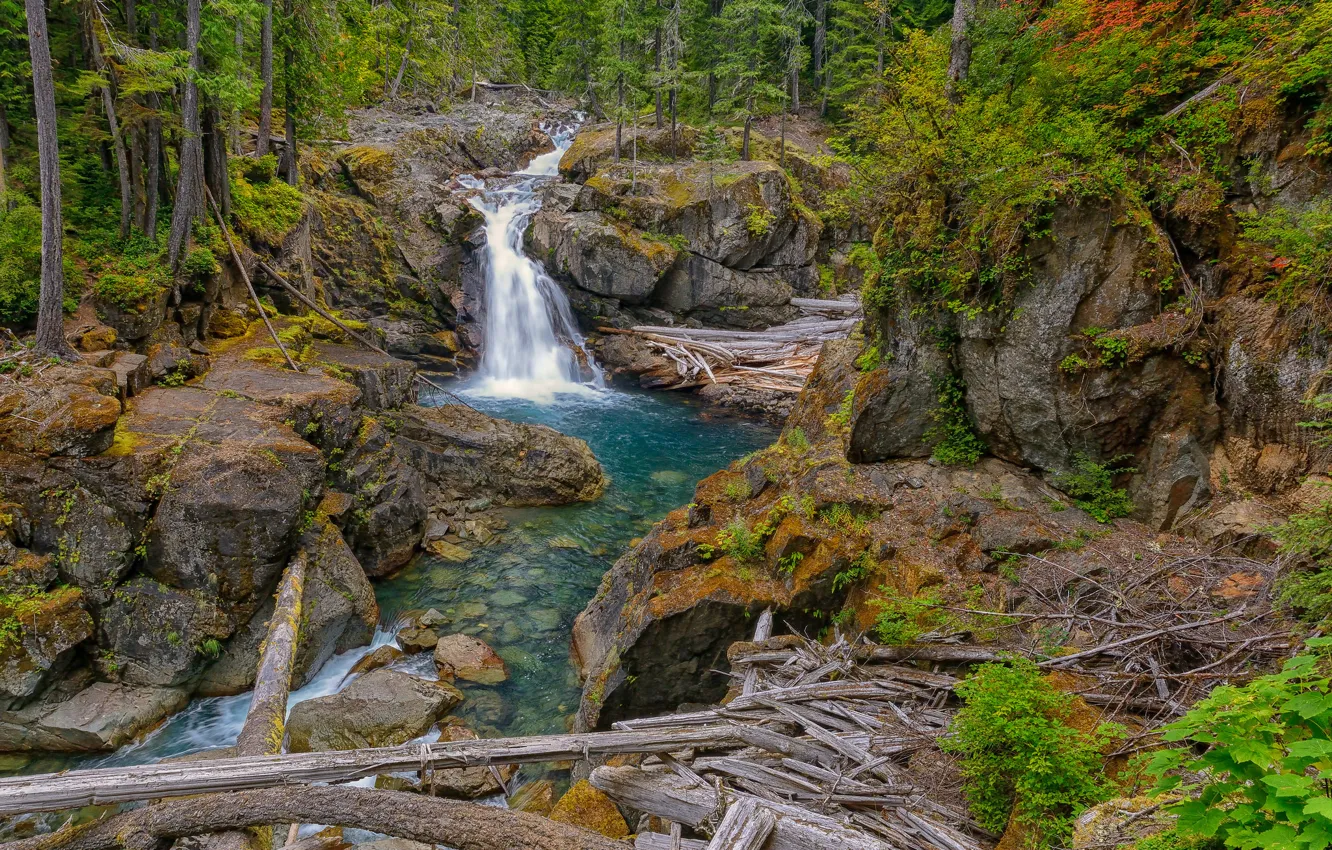 Photo wallpaper forest, river, rocks, waterfall, Washington, Silver Falls, Packwood