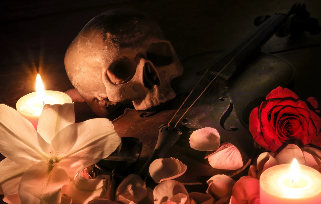 Photo wallpaper violin, skull, candles