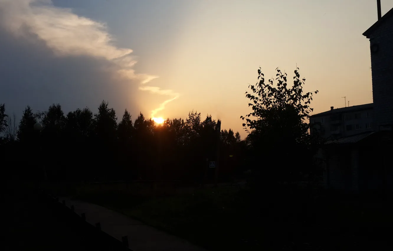 Photo wallpaper the sky, the sun, trees, sunset, haze