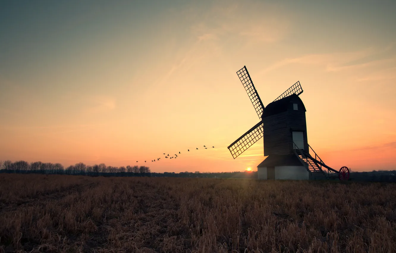 Photo wallpaper field, the sun, sunset, the evening, mill, cranes